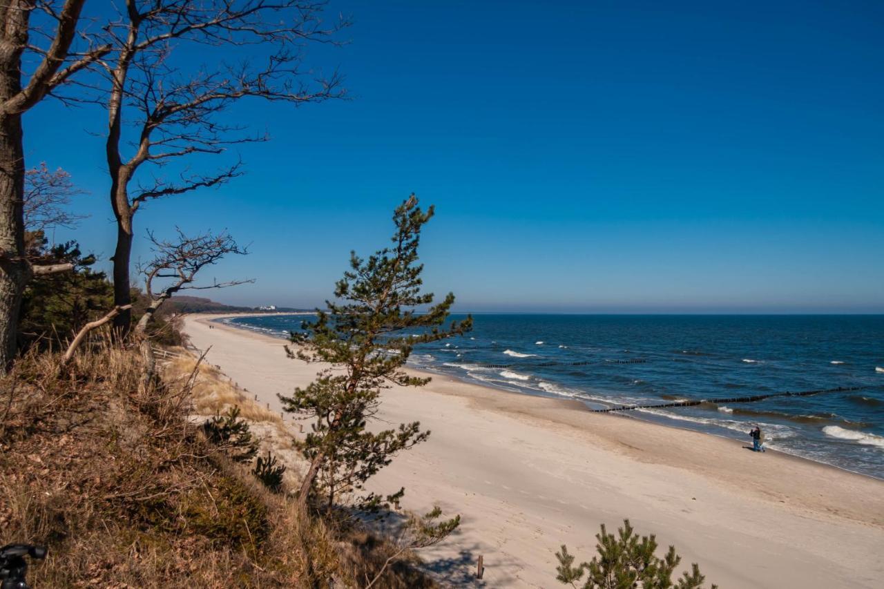 Apartment Ostseerose Ein Strandkorb Ist Im Sommer Inclusive Zempin Exterior photo